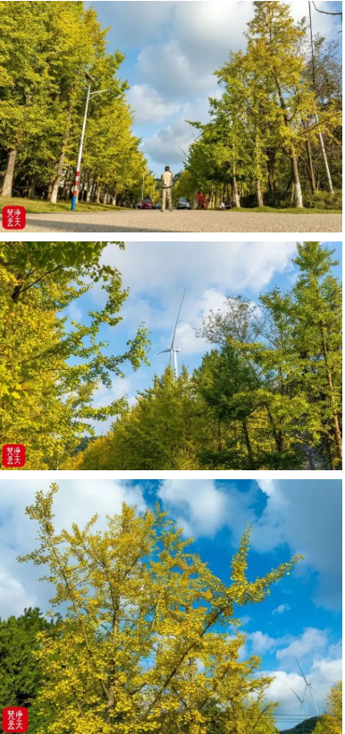 1761707335661073.png 3333333.png