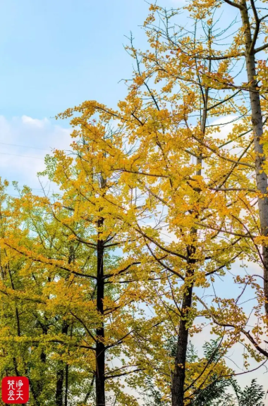 1761707374598664.png 333333333.png