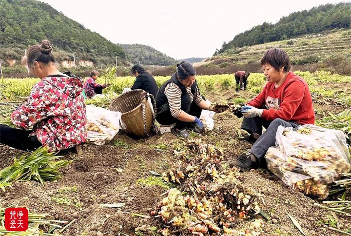 1761799431531525.png 02.webp.png