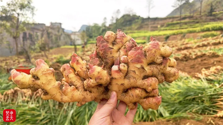 1761799450613038.png 03.webp.png