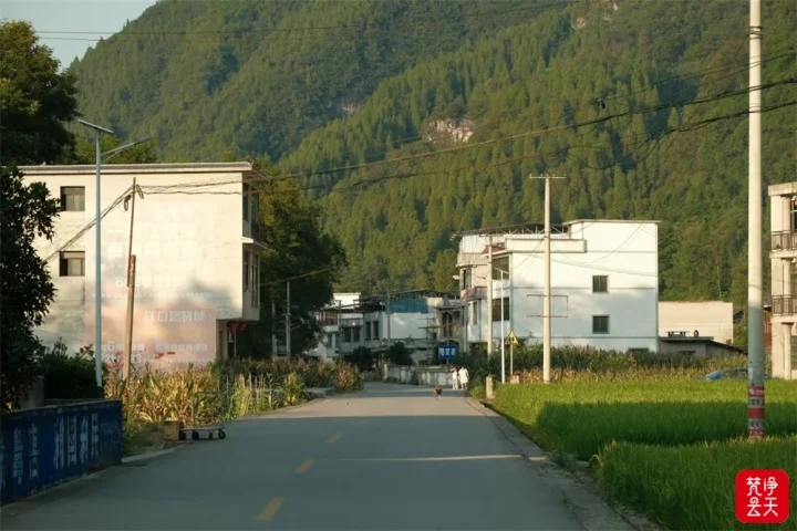 1762135570513029.jpg 1.webp.jpg