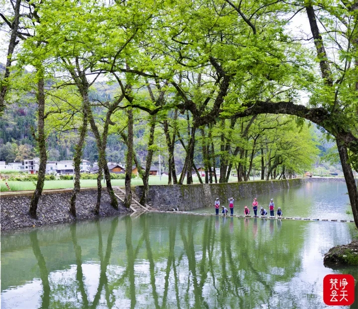 1762135766622868.jpg 4.webp (1).jpg