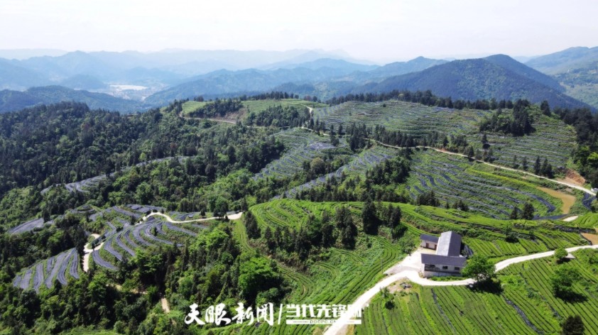 1762136832320422.jpg 4.jpg