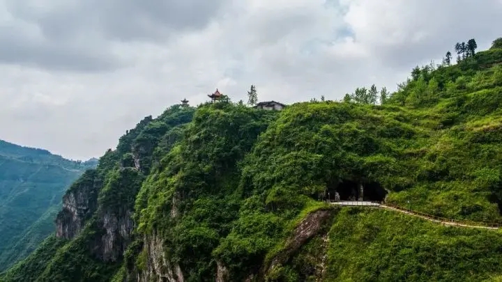 1762138184955509.jpg 12.webp (1).jpg