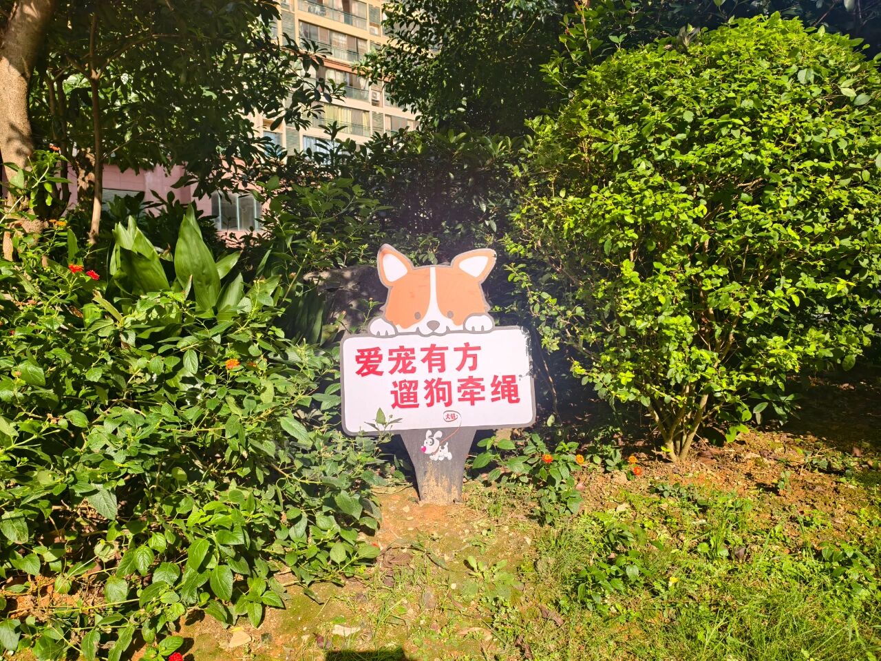 1762214145458526.jpg 微信图片_2025-11-04_075407_142.jpg