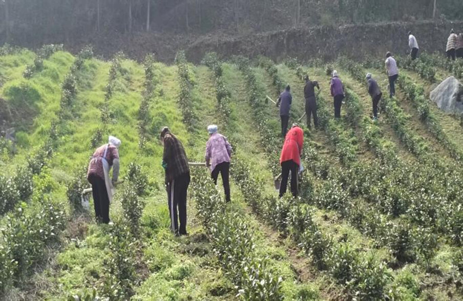 1762214731724312.jpg 微信图片_2025-11-04_072546_928.jpg