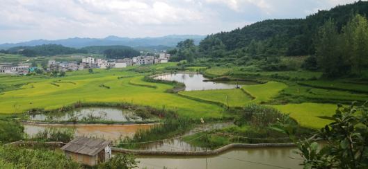 1762402661306496.png 1.png