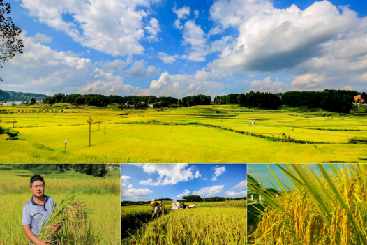 1762402745485389.png 11.png