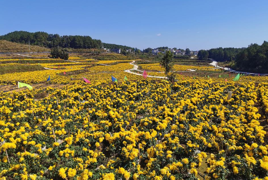 1762402858684513.png 11111.png