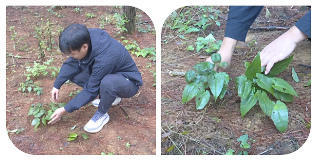 1762407689587435.png 4.png