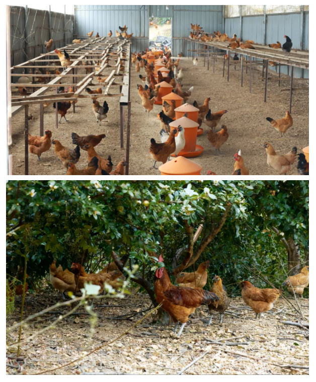 1762407730320899.png 4444.png