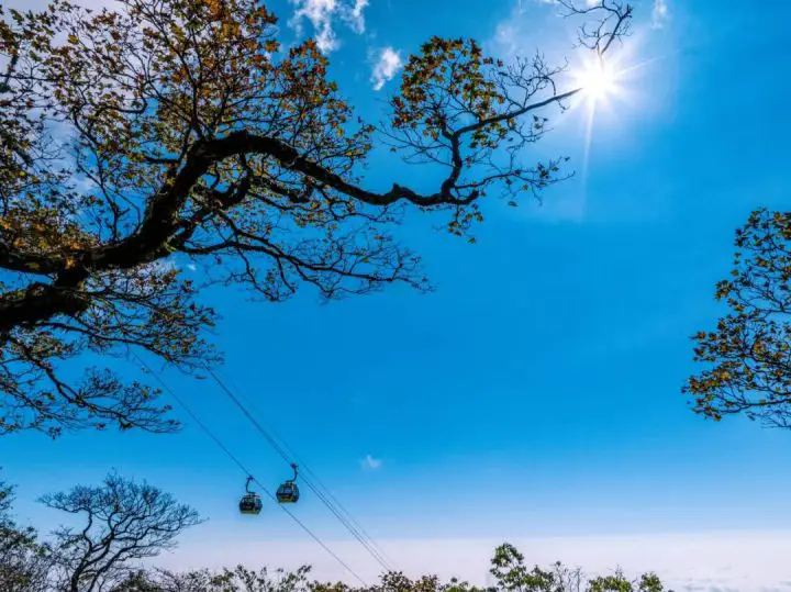 1762492140870132.png 01.webp.png