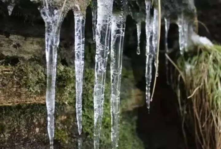 1762492216409625.png 07.webp.png