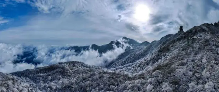 1762492241557668.png 04.webp.png