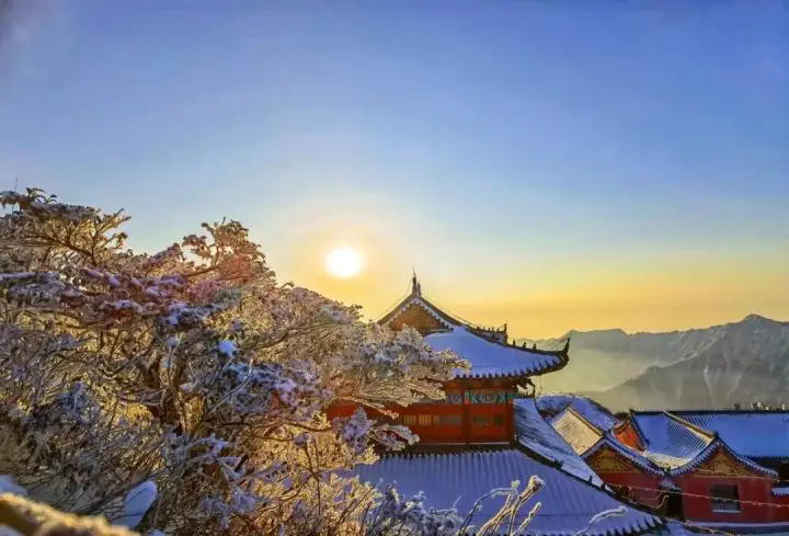 1762492271231516.png 05.webp.png