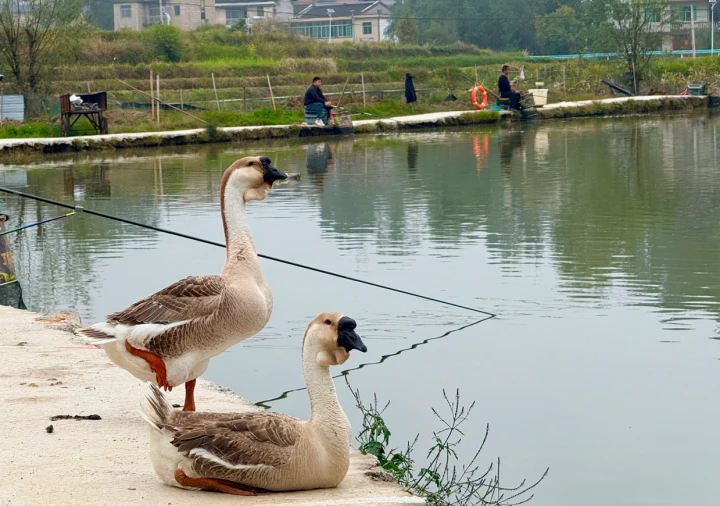 1762493297892089.png 05.webp.png