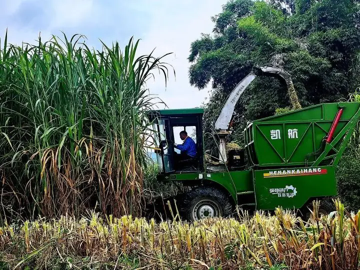 1762494529683699.png 01.webp (1).png