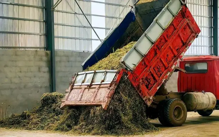 1762494547406955.png 02.webp (1).png