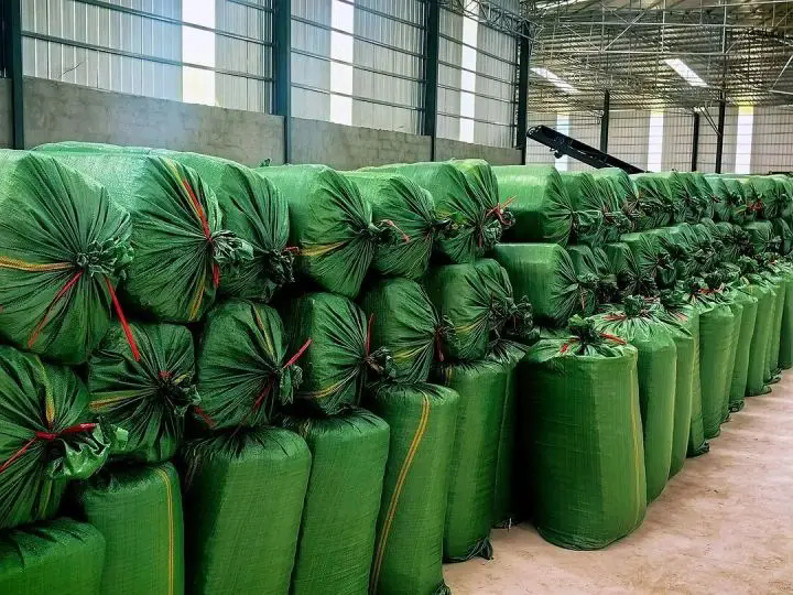 1762494594271645.png 05.webp.png