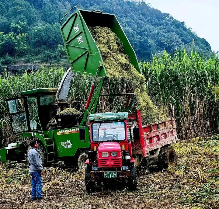 1762494605968227.png 06.webp.png