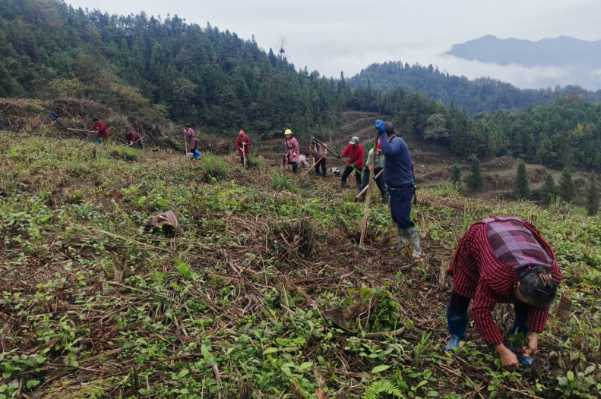 1762829963560027.png 1.png