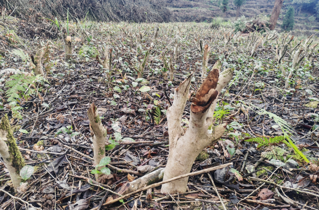 1762829991989626.png 2.png