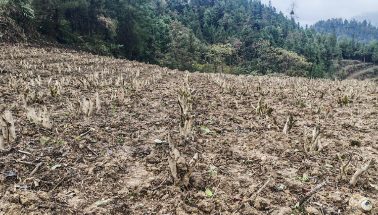 1762830001172544.png 3.png