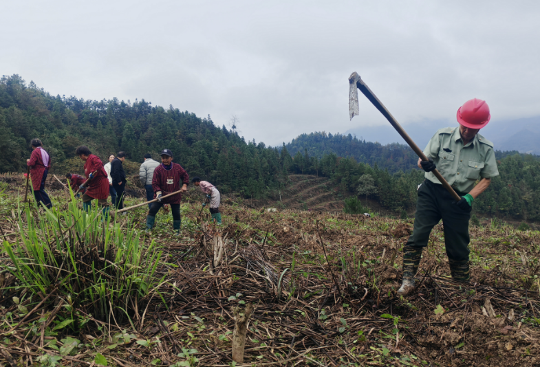 1762830027642020.png 4.png