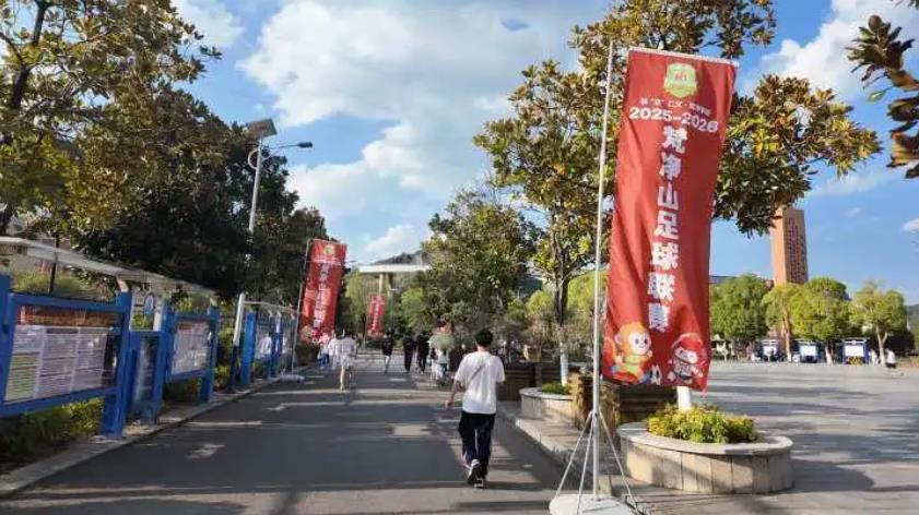 1762914947347191.jpg 24.jpg