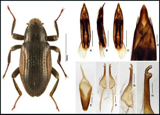 1763001897314193.jpg 微信图片_2025-11-13_104354_235.jpg