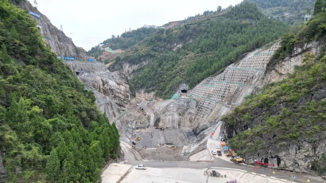 1763002196646254.jpg 微信图片_2025-11-13_104743_794.jpg