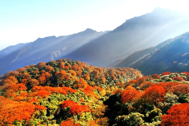 1763355383193791.png 33333333.png