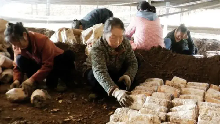 1763439244409131.png 01.webp.png