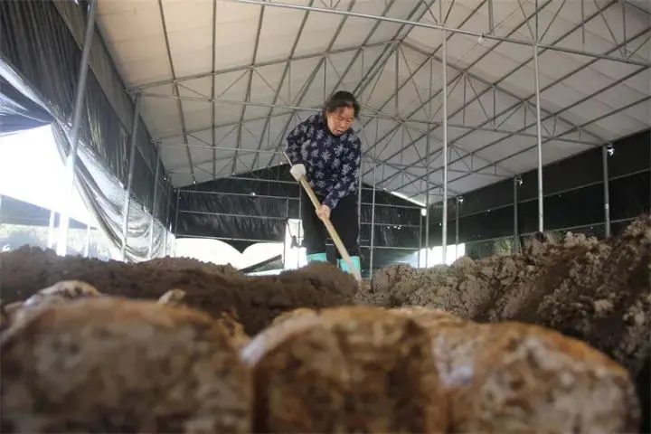 1763439254779799.png 02.webp.png