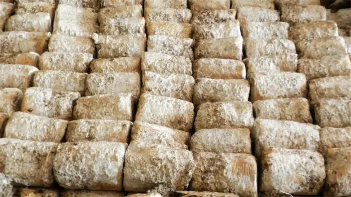 1763439267132318.png 03.webp.png