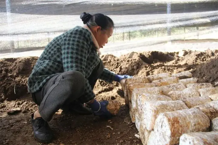 1763439278275365.png 04.webp.png