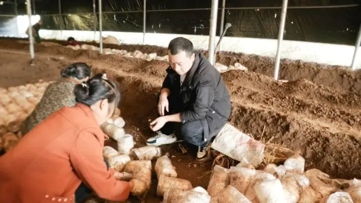 1763439290961552.png 05.webp.png