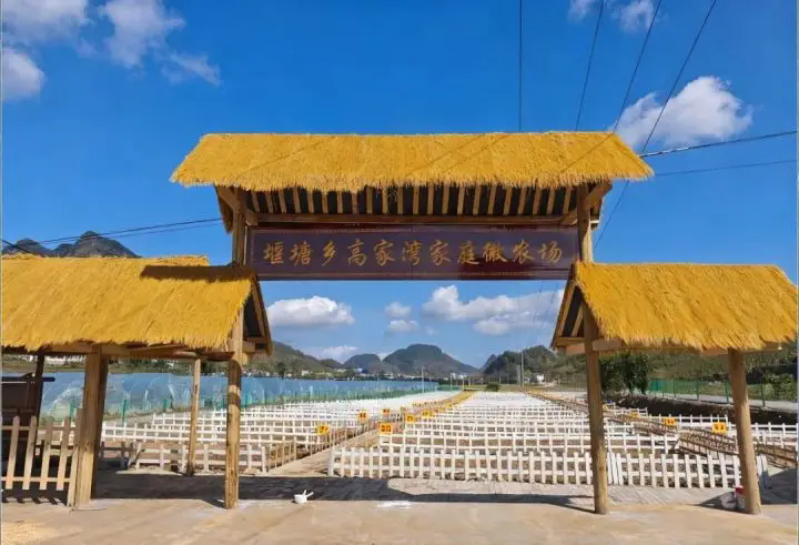 1763442887598603.png 01.webp.png