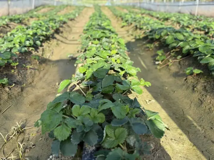 1763442910244310.png 03.webp.png