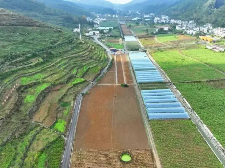 1763442923984513.png 04.webp.png