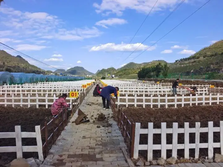 1763442934651873.png 05.webp.png