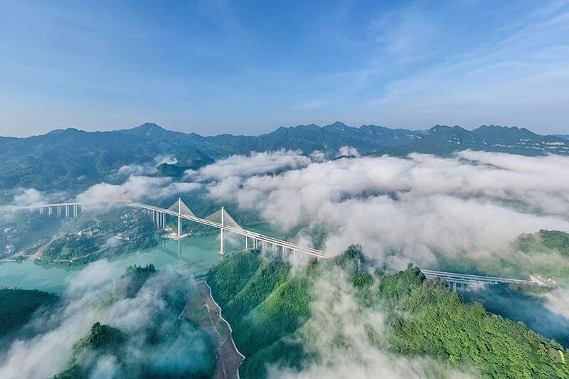 1763530655960637.jpg 1.jpg