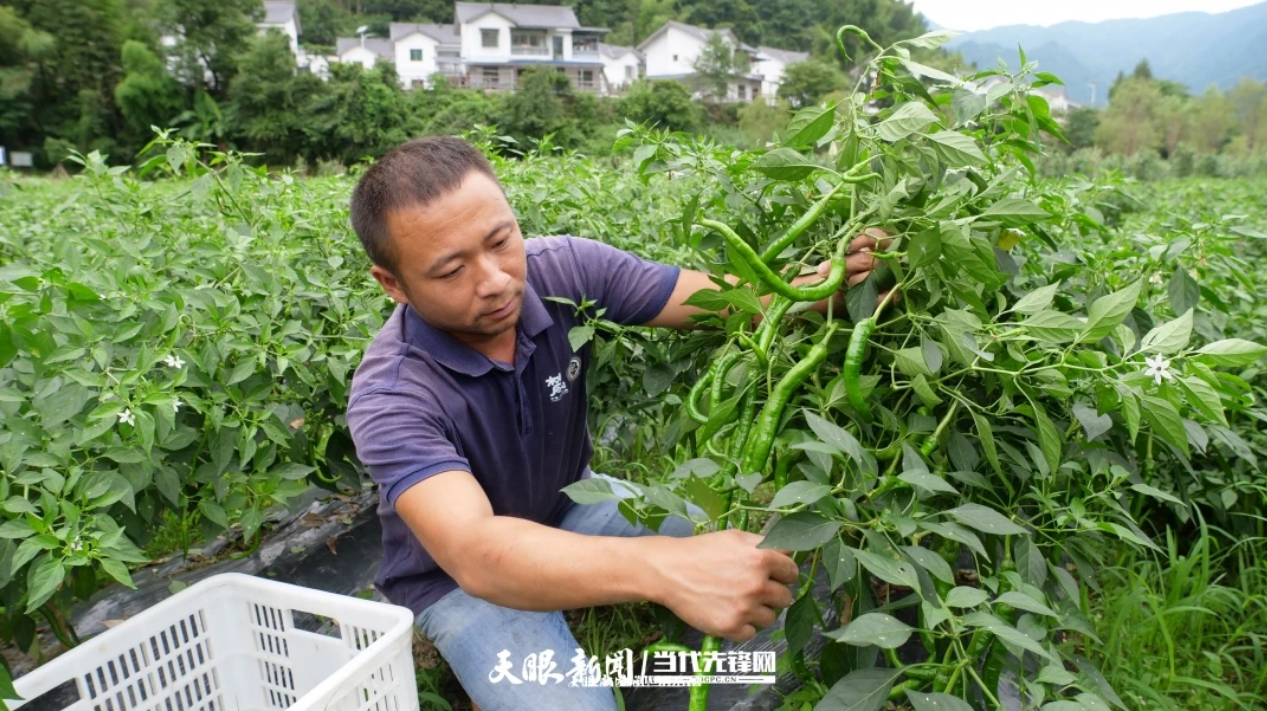 1763531018596564.png 1.png