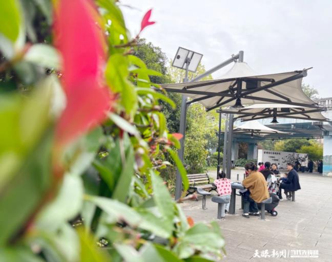 1763607920432738.jpg 21.jpg