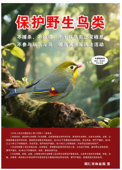 1764050967866037.png 2.png