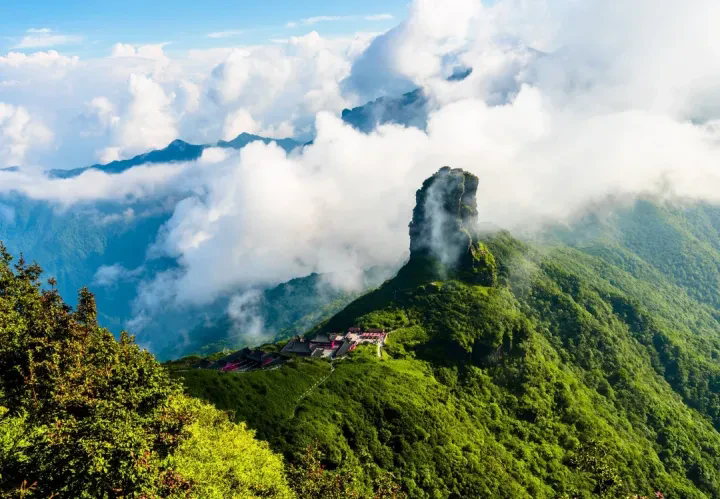 1764128497755288.png 06.webp.png