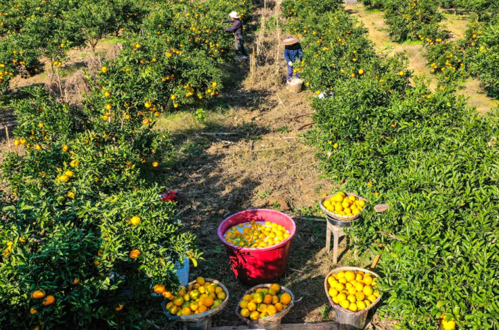 1764131656215439.png 01.webp.png