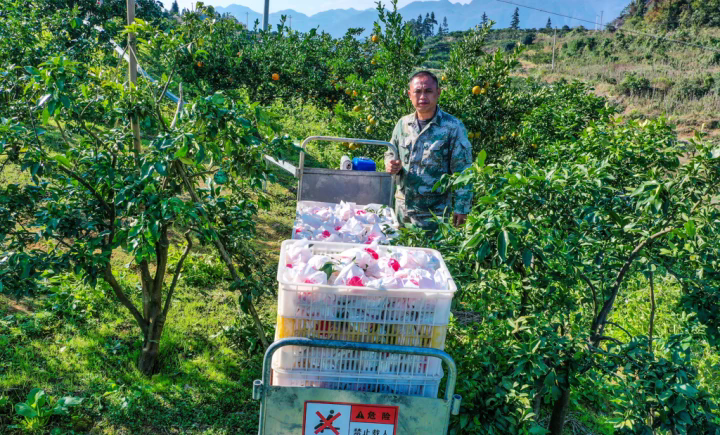 1764131683489276.png 02.webp.png