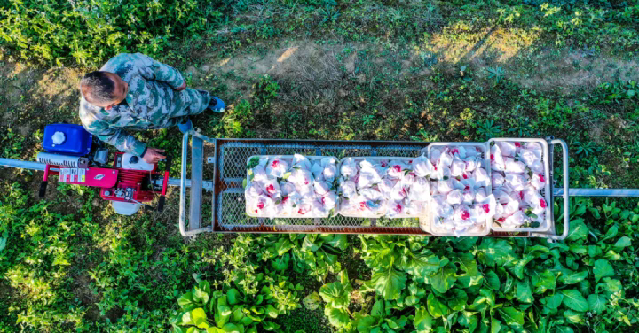 1764131708210610.png 03.webp.png