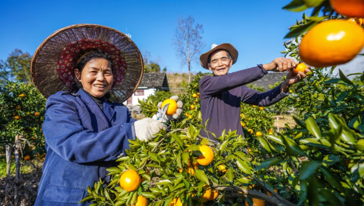 1764131728889115.png 04.webp.png